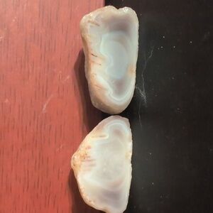 Botswana Agate #8